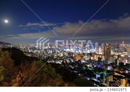 【兵庫県】六甲山から見た神戸の夜景（ビーナスブリッジ） 134601973