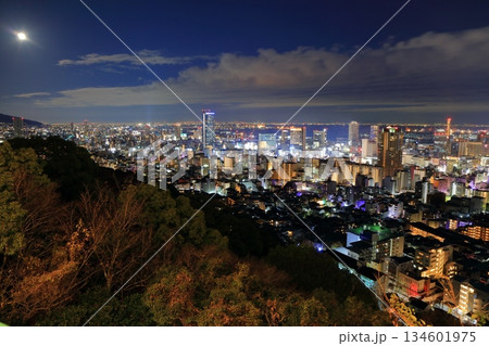 【兵庫県】六甲山から見た神戸の夜景(ビーナスブリッジ) 【兵庫県】六甲山から見た神戸の夜景(ビーナスブリッジ) 134601975