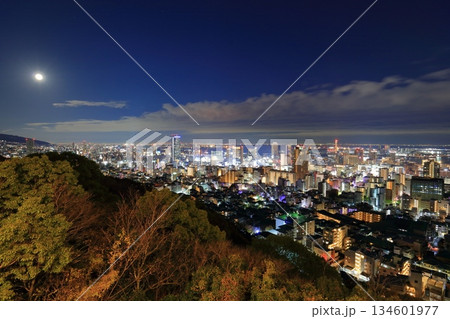 【兵庫県】六甲山から見た神戸の夜景（ビーナスブリッジ） 134601977