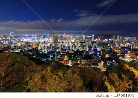 【兵庫県】六甲山から見た神戸の夜景（ビーナスブリッジ） 134601979