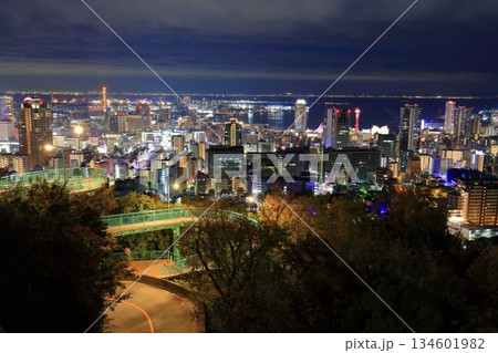 【兵庫県】六甲山から見た神戸の夜景（ビーナスブリッジ） 134601982