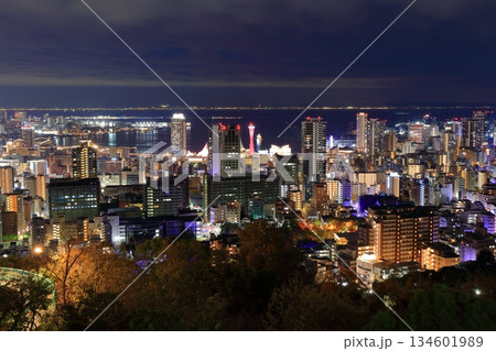 【兵庫県】六甲山から見た神戸の夜景（ビーナスブリッジ） 134601989