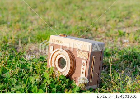 芝生の上に置かれた木製カメラ 134602010