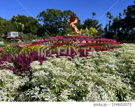 花 フラワー お花 134602073