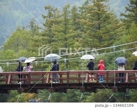 雨の日の観光名所上高地の河童橋の上の観光客の姿 雨の日の観光名所上高地の河童橋の上の観光客の姿 134602109