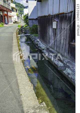 八女黒木　在郷町の町並み　鯉の泳ぐ通り　福岡県八女市 134602123