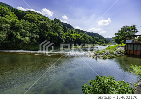 八女黒木　矢部川　黒木堰　福岡県八女市 134602170