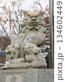 神社の狛犬・2 134602449