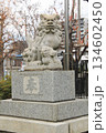 神社の狛犬・3 134602450