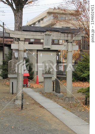 町の神社 町の神社 134602451