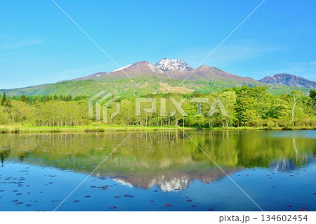 新緑の妙高高原いもり池・残雪の妙高山風景 134602454