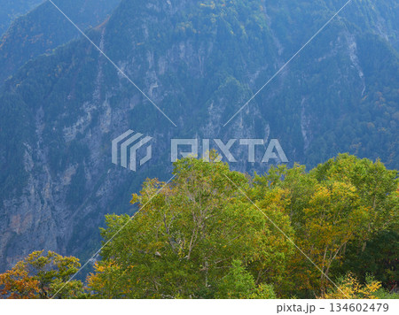 秋の観光名所立山黒部アルペンルートの山脈の紅葉の風景 秋の観光名所立山黒部アルペンルートの山脈の紅葉の風景 134602479