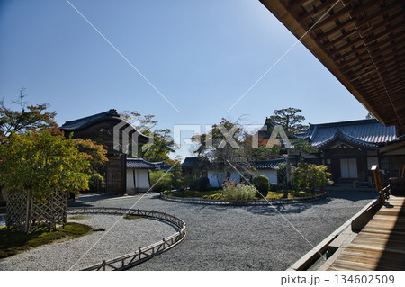 小倉山二尊院 本堂から観るお庭と勅使門 小倉山二尊院 本堂から観るお庭と勅使門 134602509
