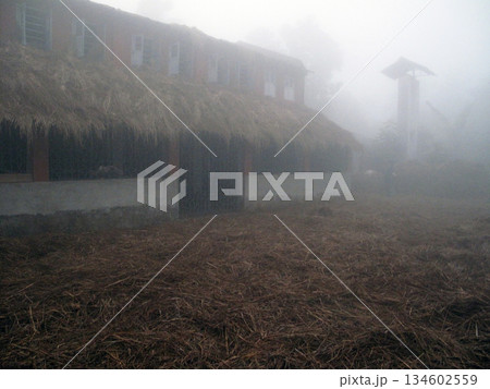 Misty morning in the Bengal countryside in Sundarban jungle area in West Bengal, India 134602559