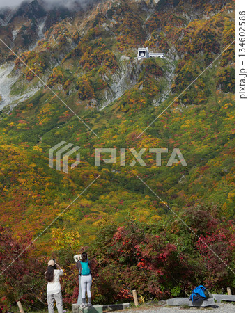 秋の観光名所立山黒部アルペンルートの黒部平の展望台で風景を楽しむ若い外国人女性観光客の姿と山の風景 134602588