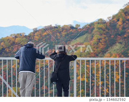 秋の観光名所立山黒部アルペンルートの大観峰の展望台で風景を撮影する観光客の姿と山の風景 134602592