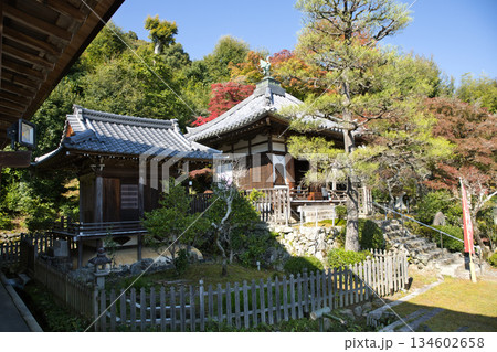 小倉山二尊院 本堂から観る位牌堂と九頭龍辨財天2 小倉山二尊院 本堂から観る位牌堂と九頭龍辨財天2 134602658