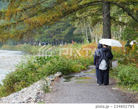 雨の日の観光名所上高地の森の散策道で散歩する観光客の姿 134602785