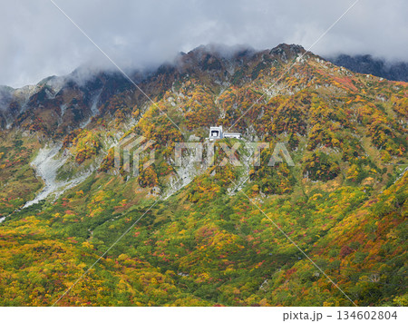 秋の観光名所立山黒部アルペンルートの大観峰ロープウェイと鮮やかな紅葉の風景 秋の観光名所立山黒部アルペンルートの大観峰ロープウェイと鮮やかな紅葉の風景 134602804