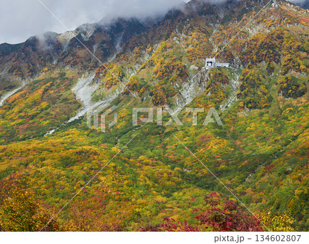 秋の観光名所立山黒部アルペンルートの大観峰ロープウェイと鮮やかな紅葉の風景 秋の観光名所立山黒部アルペンルートの大観峰ロープウェイと鮮やかな紅葉の風景 134602807