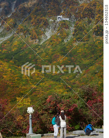 秋の観光名所立山黒部アルペンルートの黒部平の展望台で風景を楽しむ若い外国人女性観光客の姿と山の風景 秋の観光名所立山黒部アルペンルートの黒部平の展望台で風景を楽しむ若い外国人女性観光客の姿と山の風景 134602818
