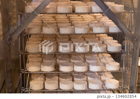 チーズ製作行程の一部 チーズ製作行程の一部 134602854