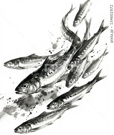 鰯の墨絵のイラスト素材 [134602972] - PIXTA