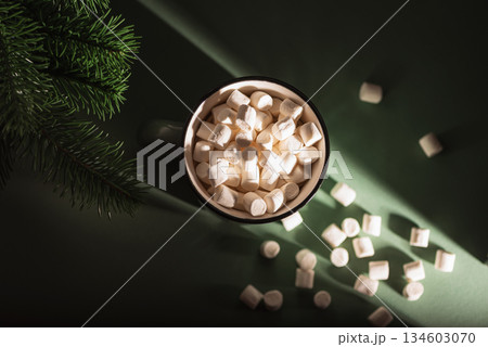 Christmas Bowl of Hot Chocolate with Marshmallows and Pine Branch on Green Background 134603070