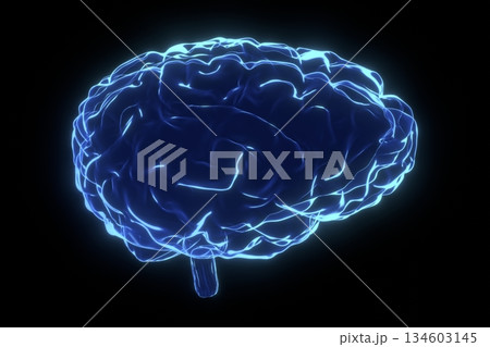 Human brain as x-ray illustration - 3D illustration Human brain as x-ray illustration - 3D illustration 134603145