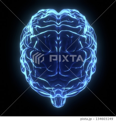 Human brain as x-ray illustration - 3D illustration Human brain as x-ray illustration - 3D illustration 134603149