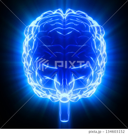 Human brain isolated on black background - 3D illustration Human brain isolated on black background - 3D illustration 134603152