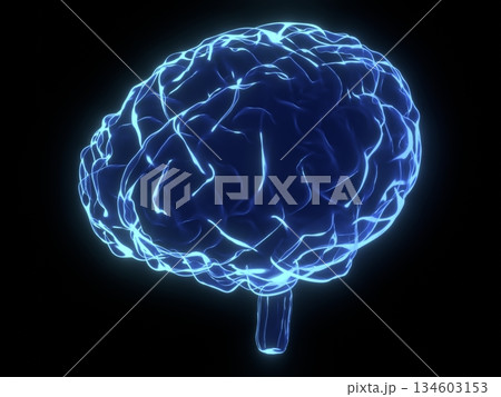 Human brain as x-ray illustration - 3D illustration 134603153