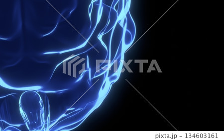 Human brain as x-ray illustration - 3D illustration 134603161