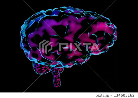 Human brain isolated on black background - 3D illustration Human brain isolated on black background - 3D illustration 134603162