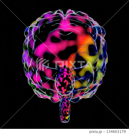 Human brain isolated on black background - 3D illustration 134603179