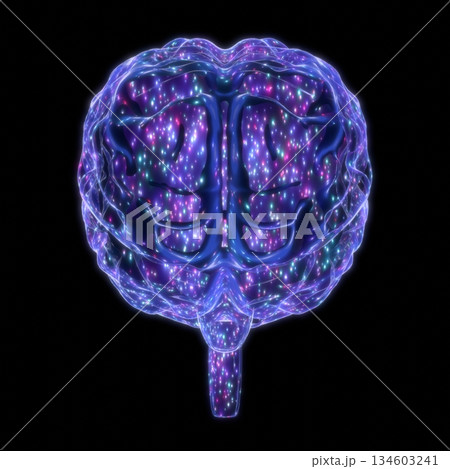 Human brain isolated on black background - 3D illustration Human brain isolated on black background - 3D illustration 134603241