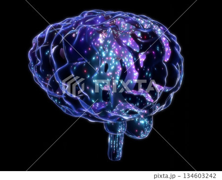 Human brain isolated on black background - 3D illustration 134603242