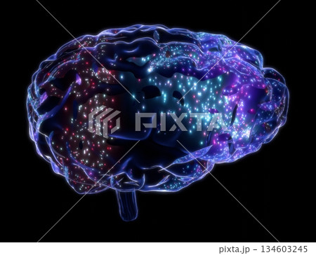 Human brain isolated on black background - 3D illustration Human brain isolated on black background - 3D illustration 134603245