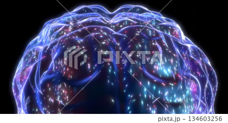 Human brain isolated on black background - 3D illustration 134603256