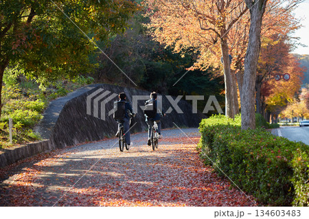 秋の公園で自転車を乗る通学中の高校生の姿と紅葉の風景 134603483