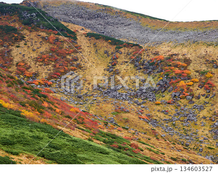 秋の観光名所立山黒部アルペンルートの室堂山頂の風景 秋の観光名所立山黒部アルペンルートの室堂山頂の風景 134603527
