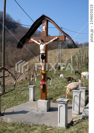 Roadside Crucifix in Zagorje region, Croatia Roadside Crucifix in Zagorje region, Croatia 134603819