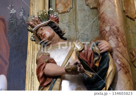 Saint Francis Xavier, statue in the Church of Saint Francis Xavier in Vugrovec, Croatia Saint Francis Xavier, statue in the Church of Saint Francis Xavier in Vugrovec, Croatia 134603823