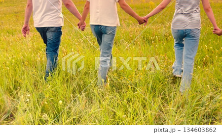 child parent, mother, father nature holding hand, happy family dream, Fields of family unity, Joyful sunset stroll, Intergenerational bond, Walking forward together, Beautiful sky backdrop, Wild and 134603862