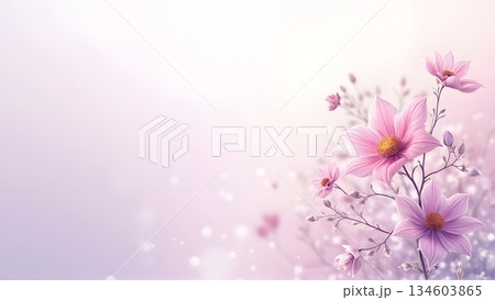ピンクと紫のかわいい花の美しい背景 ピンクと紫のかわいい花の美しい背景 134603865