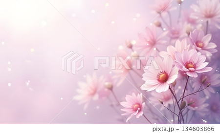 ピンクと紫のかわいい花の美しい背景 ピンクと紫のかわいい花の美しい背景 134603866