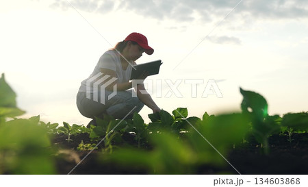 Agriculture, Agriculture of the future, Woman at work in field, Tablet checks crop health, Modern rural scene, Sustainable farm with technology, Young plants monitored, Growth, and innovation, Woman Agriculture, Agriculture of the future, Woman at work in field, Tablet checks crop health, Modern rural scene, Sustainable farm with technology, Young plants monitored, Growth, and innovation, Woman 134603868