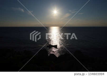 ◇白崎海洋公園／「日本のエーゲ海」「日本の渚百選」【和歌山県由良町】 134603994