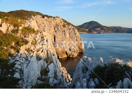 ◇白崎海洋公園／「日本のエーゲ海」「日本の渚百選」【和歌山県由良町】 134604152