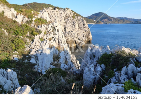 ◇白崎海洋公園／「日本のエーゲ海」「日本の渚百選」【和歌山県由良町】 134604155